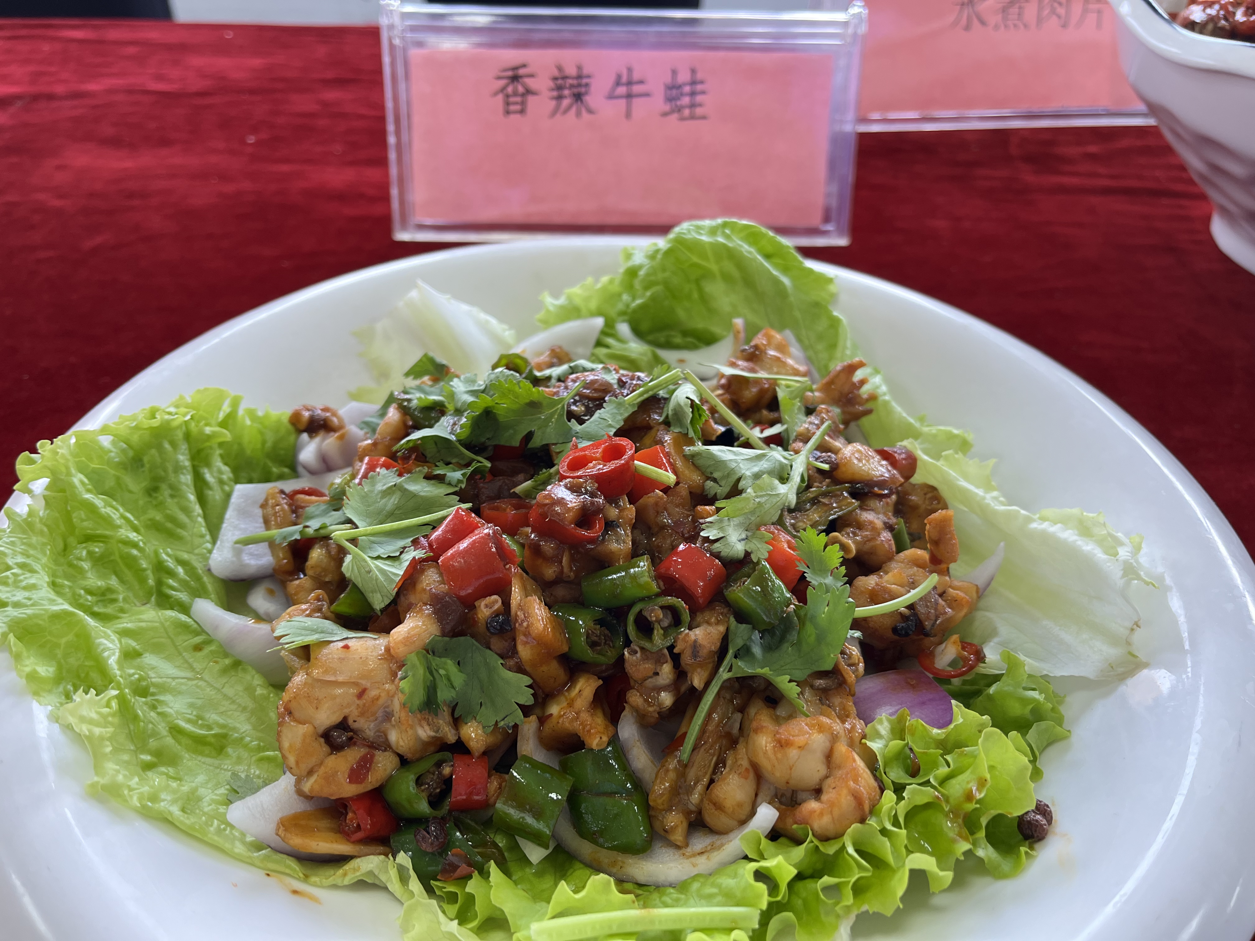 新華職業(yè)培訓(xùn)學(xué)校